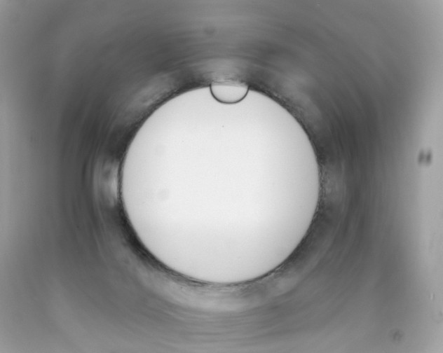 X0000089830028200707262034