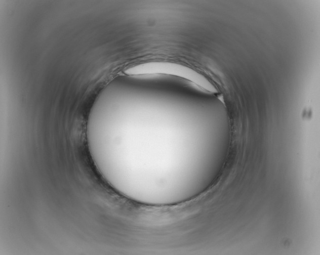 X0000089830029200707262034