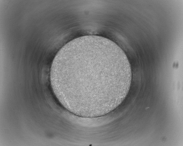 X0000089830030200707262034