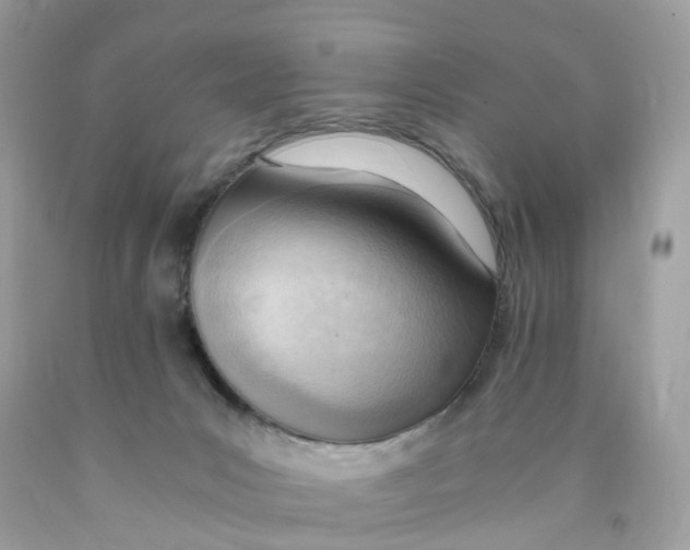 X0000089830031200707262034