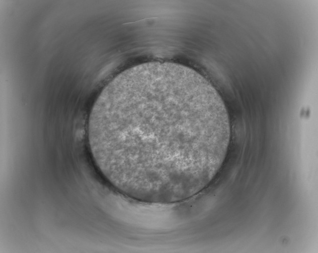 X0000089830032200707262034