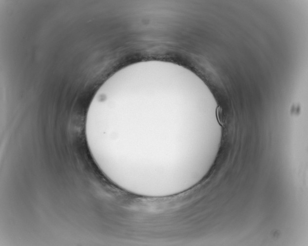 X0000089830033200707262034