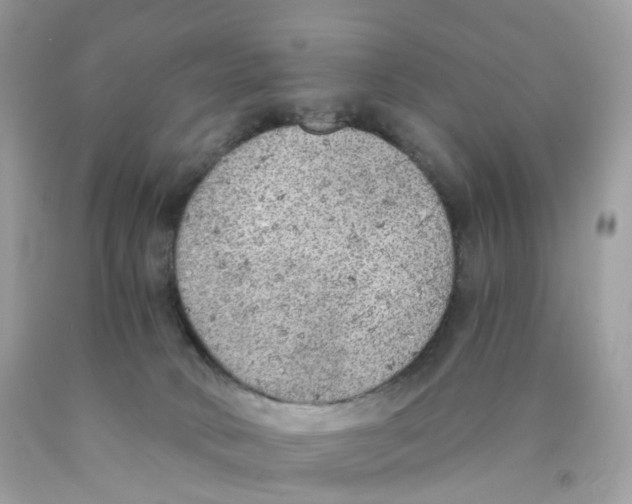 X0000089830034200707262034