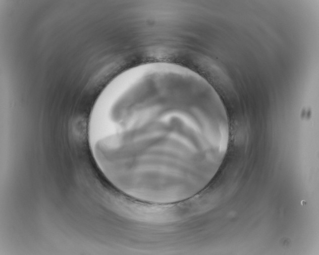 X0000089830036200707262034