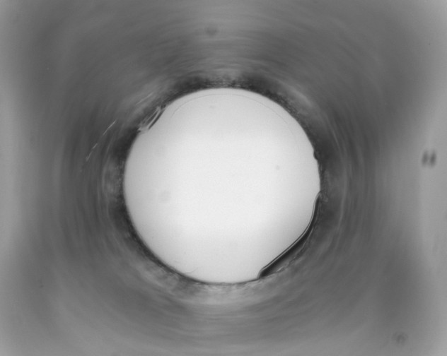 X0000089830037200707262034