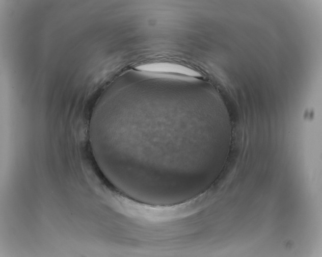X0000089830039200707262033