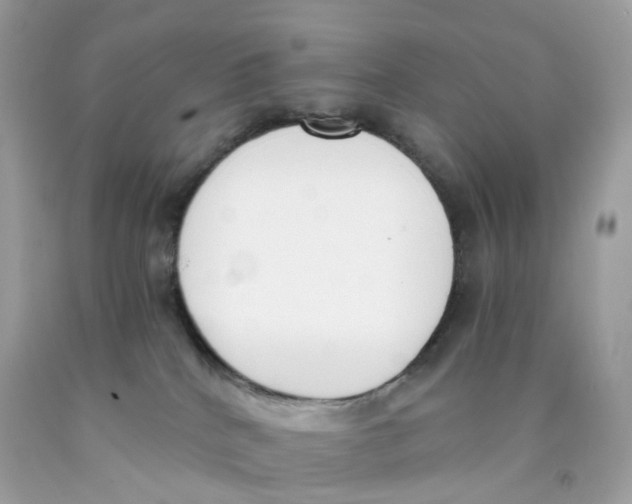 X0000089830040200707262033