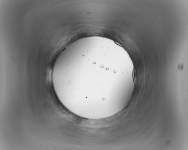 X0000089830041200707262033