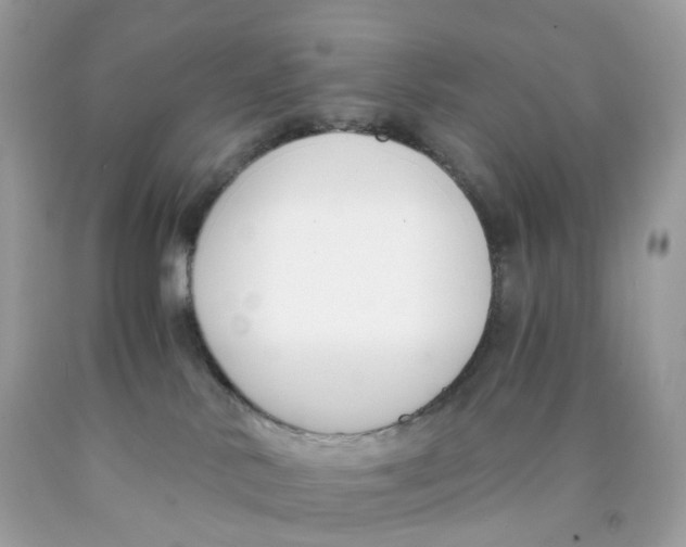 X0000089830042200707262033