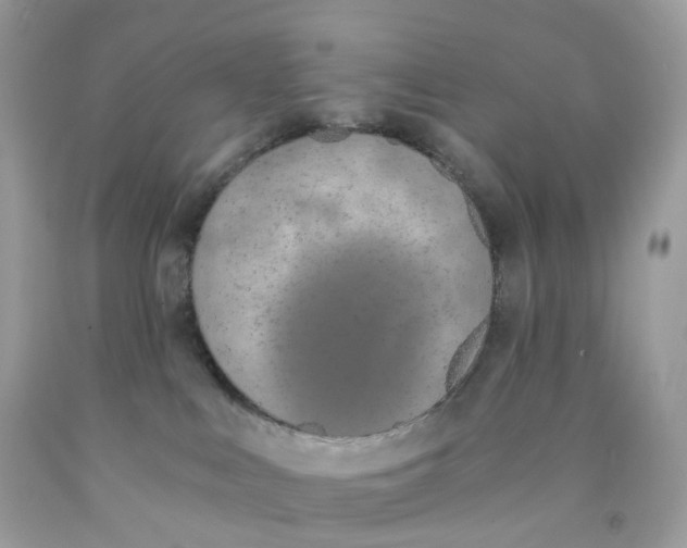 X0000089830043200707262033