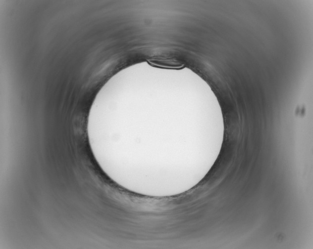X0000089830044200707262033