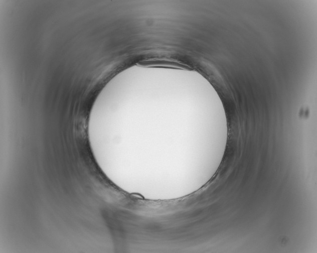 X0000089830045200707262033