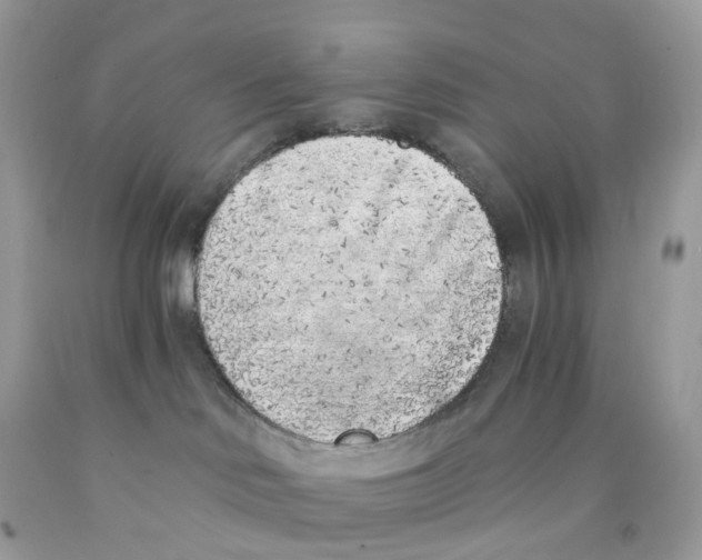 X0000089830046200707262033