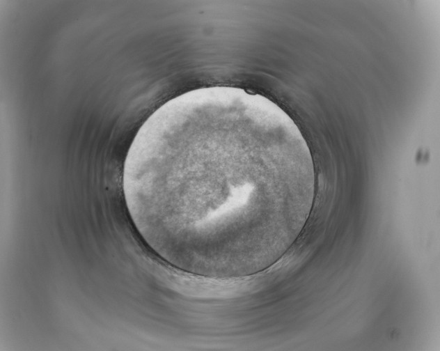 X0000089830048200707262033