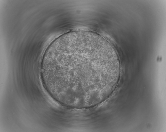 X0000089830049200707262032