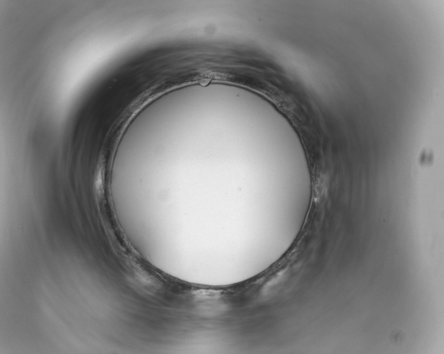 X0000089830052200707262032