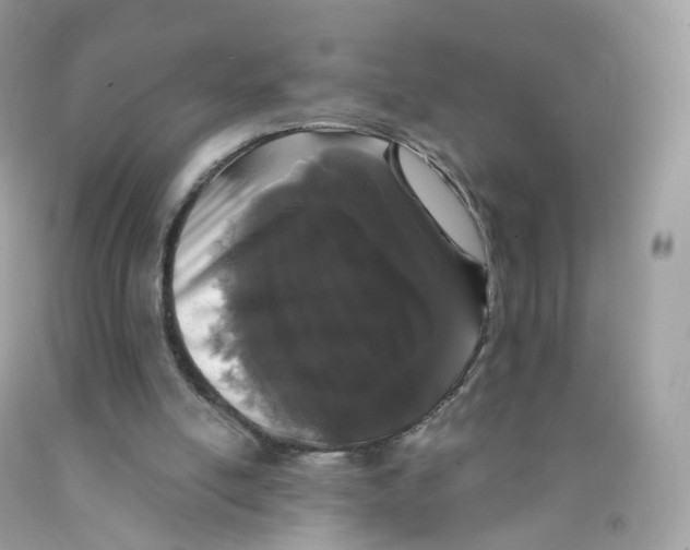 X0000089830054200707262032