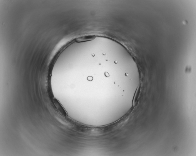 X0000089830056200707262033