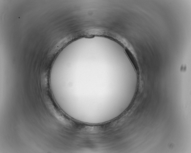X0000089830057200707262033