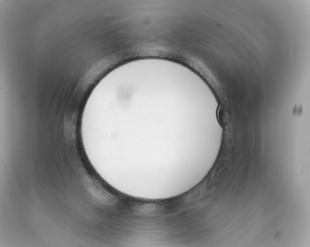 X0000089830058200707262033