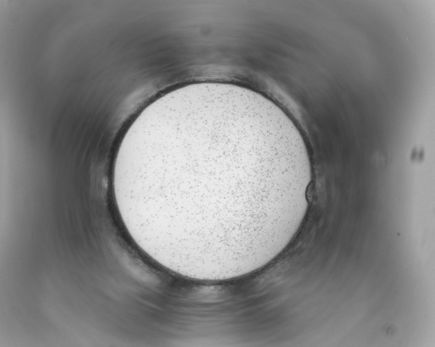 X0000089830059200707262033
