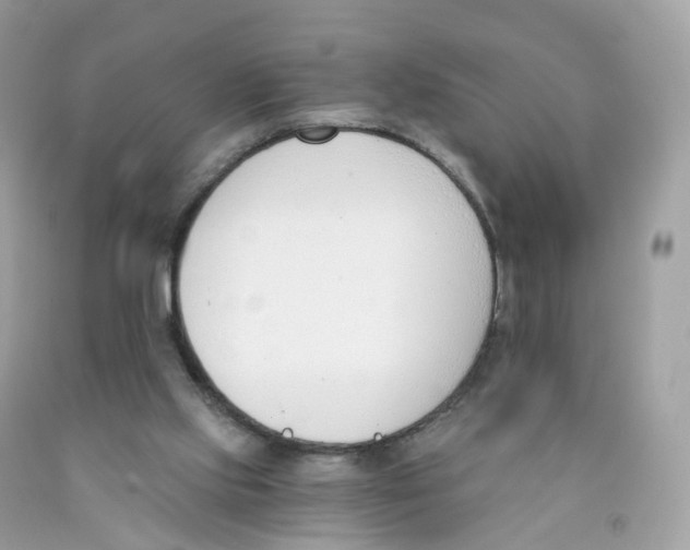 X0000089830061200707262033