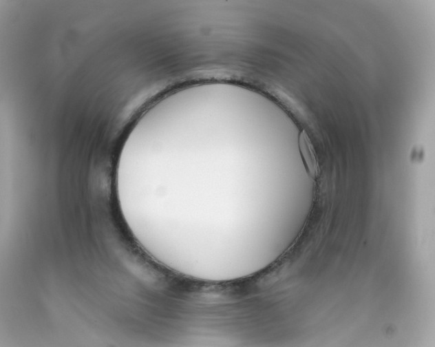 X0000089830064200707262033