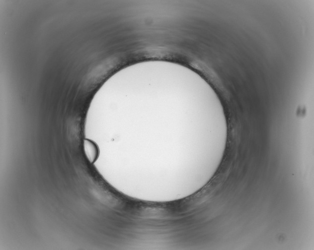 X0000089830066200707262033