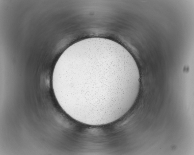 X0000089830067200707262033