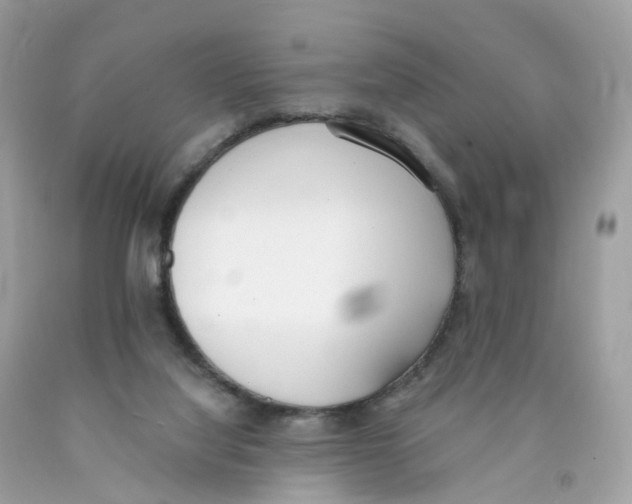 X0000089830068200707262033