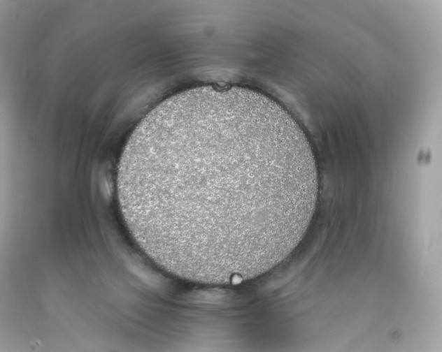 X0000089830069200707262033