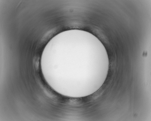 X0000089830070200707262033