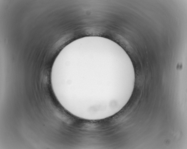 X0000089830071200707262033
