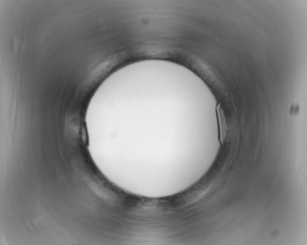 X0000089830072200707262033