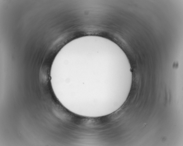 X0000089830074200707262033