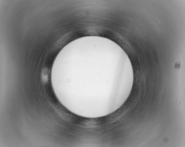 X0000089830075200707262033