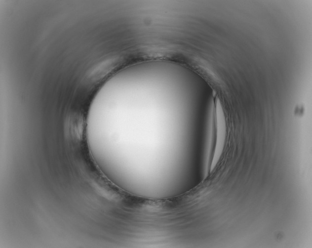 X0000089830076200707262033