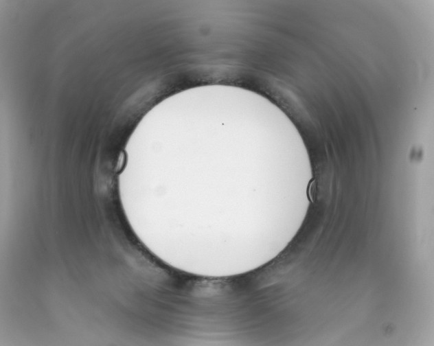 X0000089830077200707262033