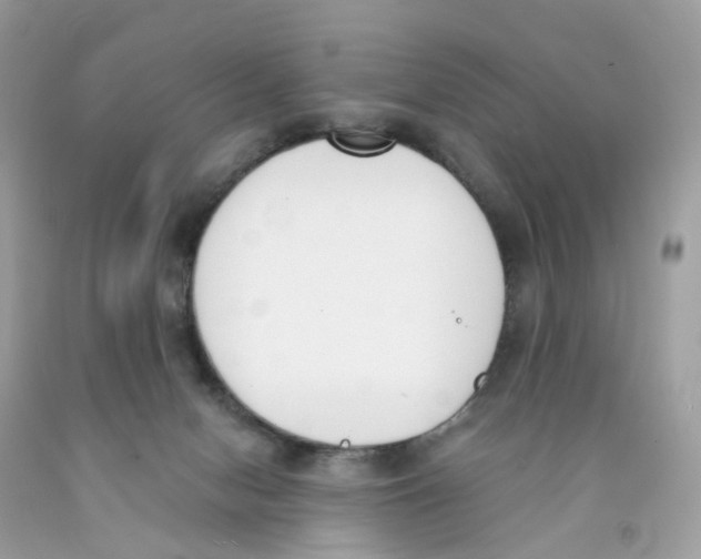 X0000089830078200707262033