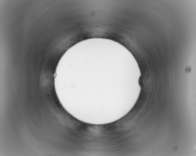 X0000089830079200707262033