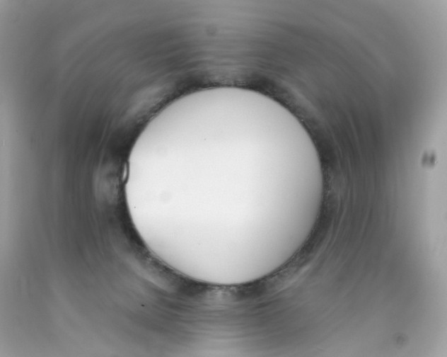 X0000089830080200707262033