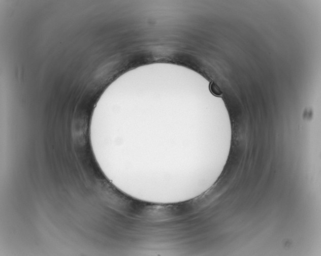 X0000089830082200707262033