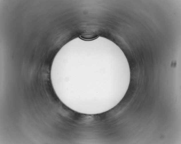 X0000089830083200707262033