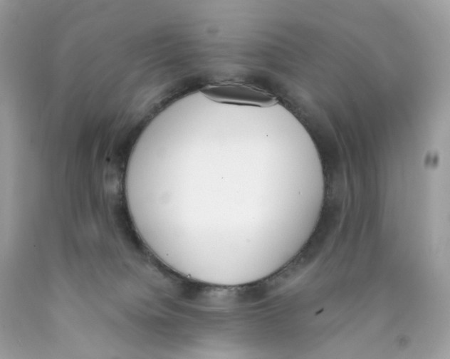 X0000089830084200707262033