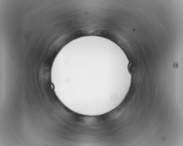 X0000089830085200707262033