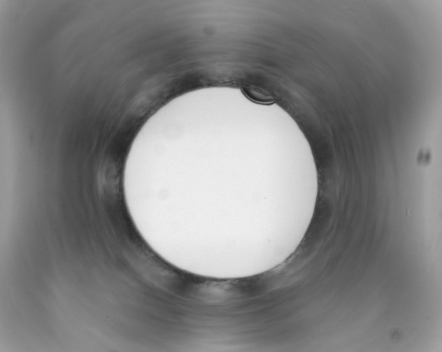 X0000089830086200707262033