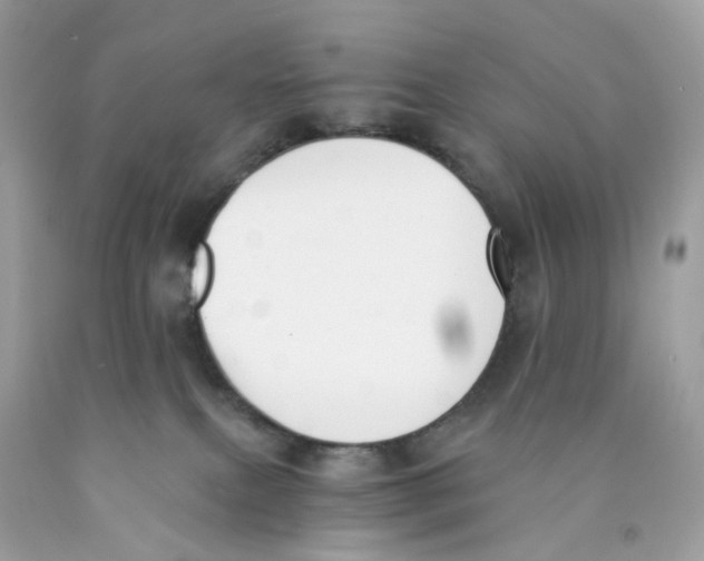 X0000089830087200707262033