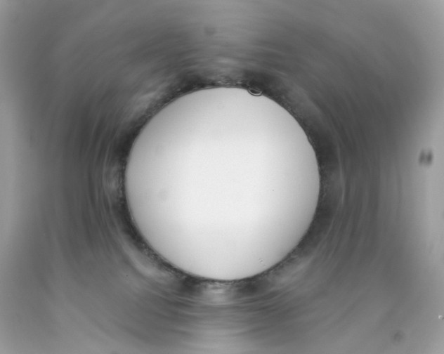 X0000089830088200707262033