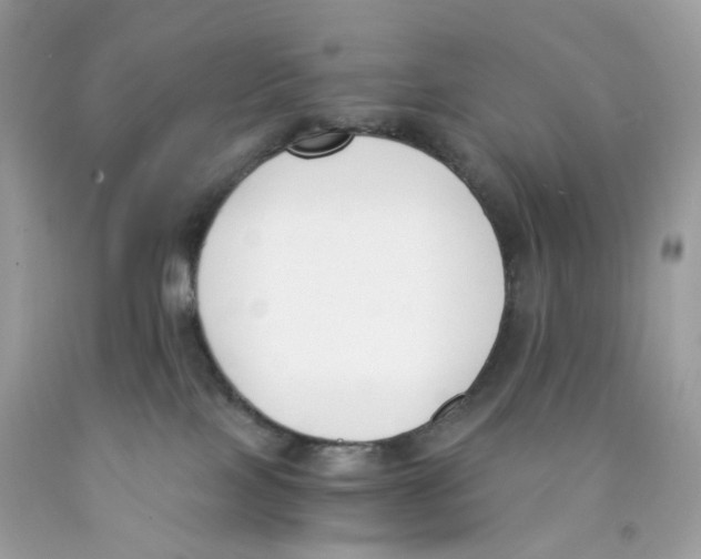 X0000089830089200707262033