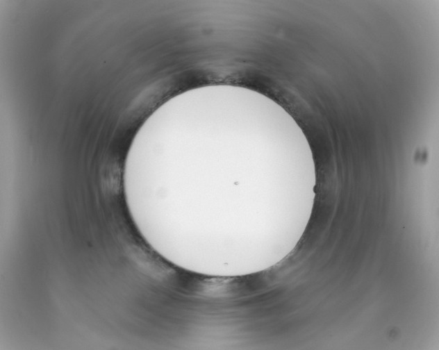 X0000089830090200707262033